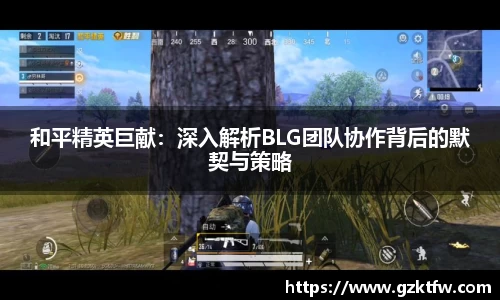和平精英巨献：深入解析BLG团队协作背后的默契与策略